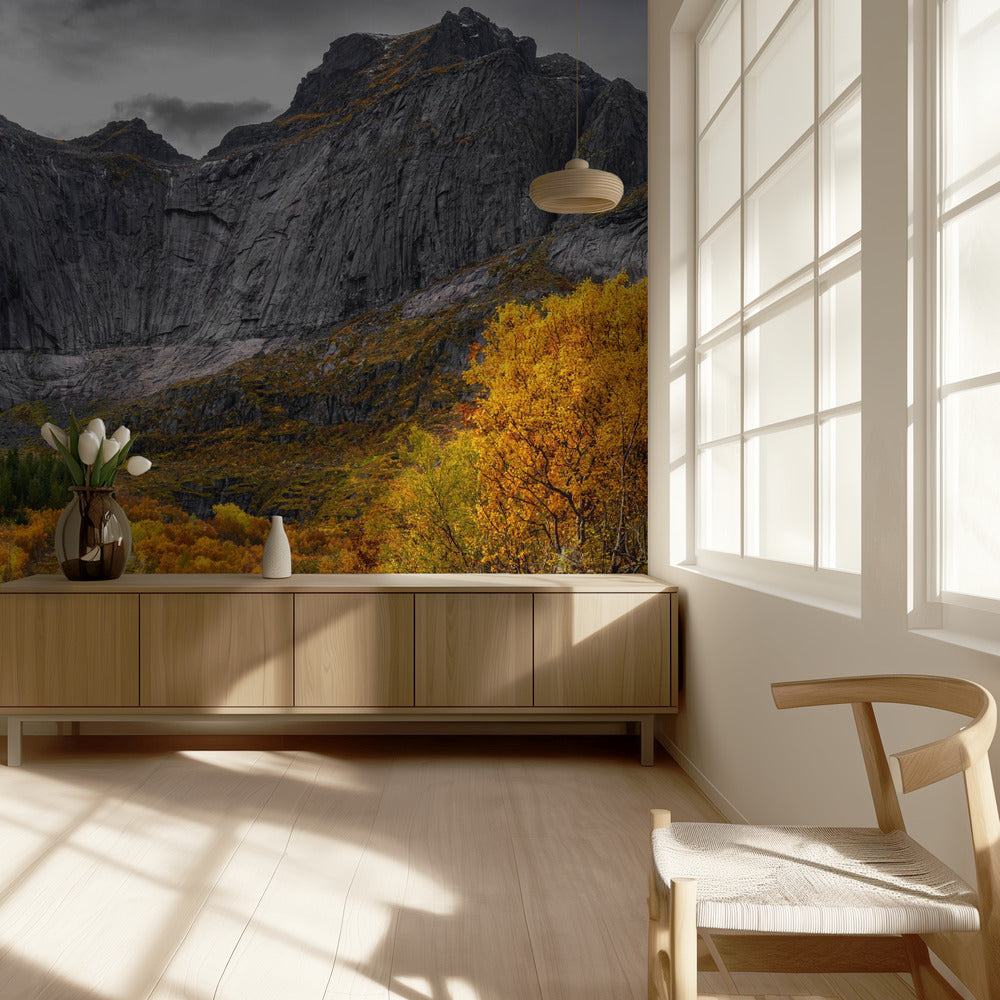 Tie muurille | Valokuvatapetit