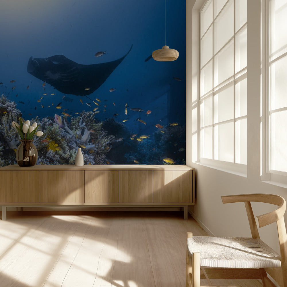 Manta-riutta riutalla | Valokuvatapetit