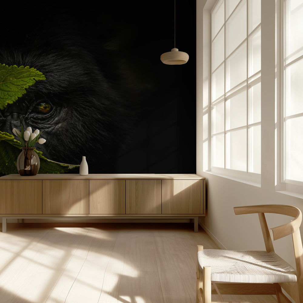 Salaisuuksien pitäminen | Valokuvatapetit