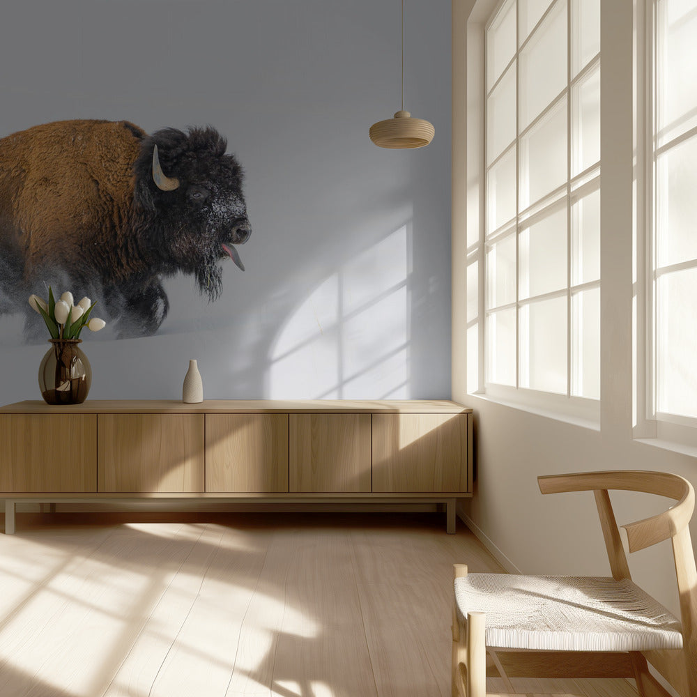 Bisonte en la nieve | Papel Pintado Fotográfico
