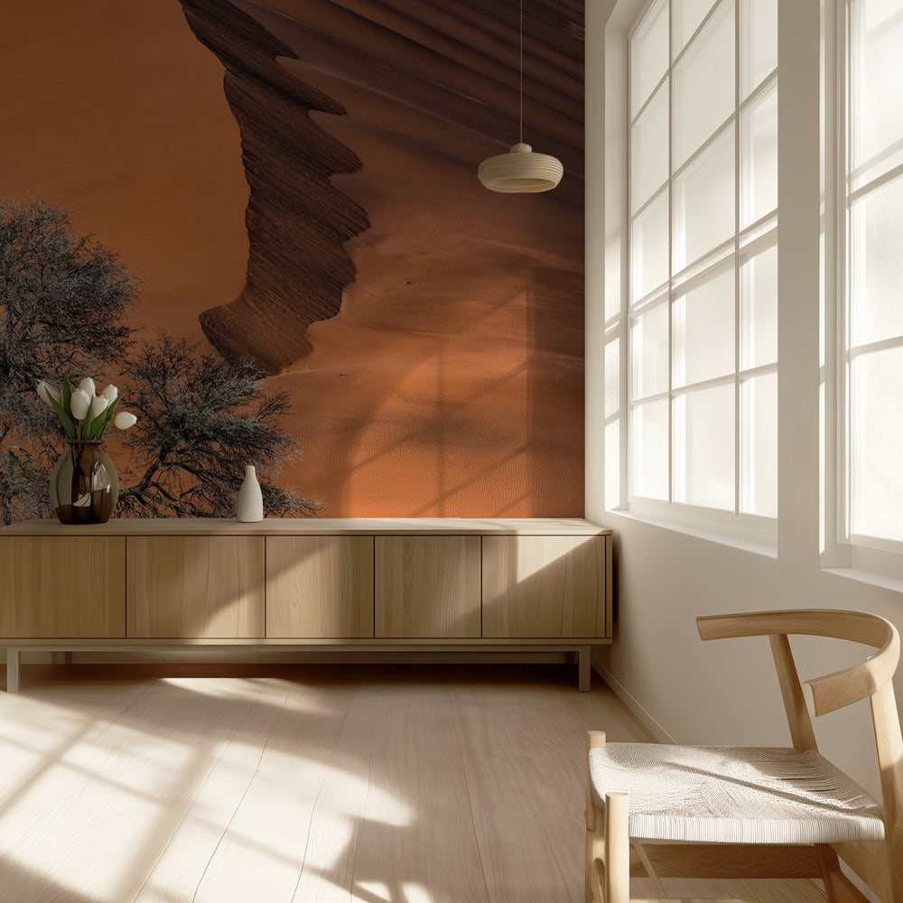 Akaasia aavikolla | Valokuvatapetit