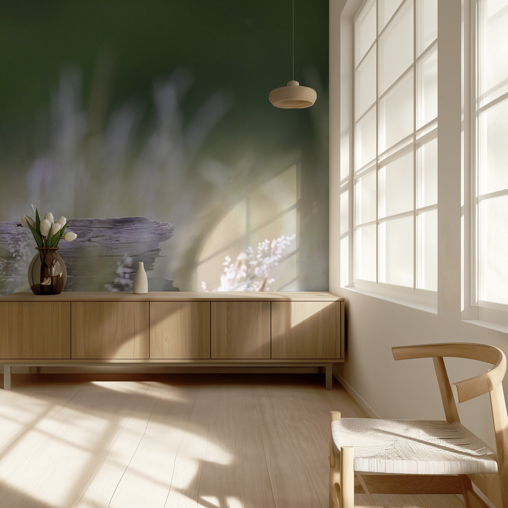 Pikku pöllö | Valokuvatapetit