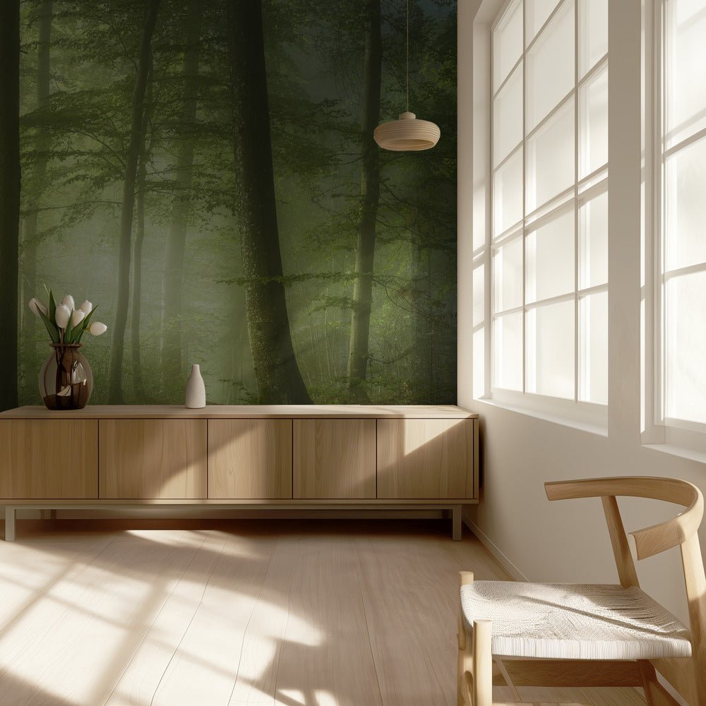 Salaperäinen kevätaamu | Valokuvatapetit