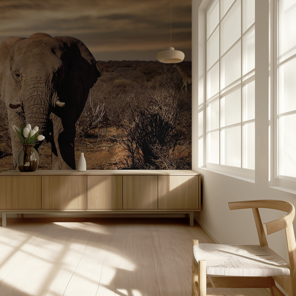 Iso | Valokuvatapetit