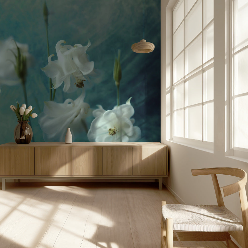 Orjantappurakruunut | Valokuvatapetit