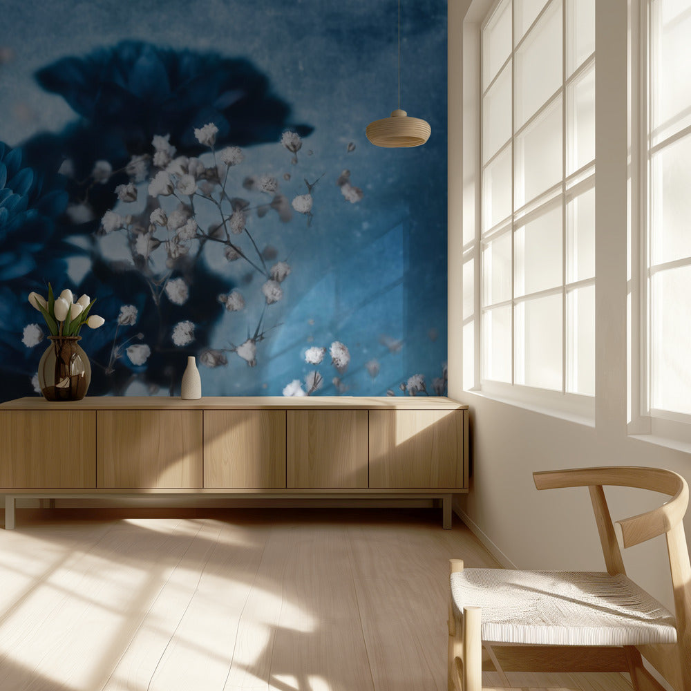 Daalia | Valokuvatapetit