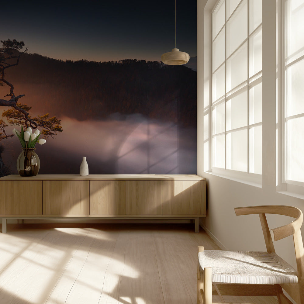 Sokolica | Valokuvatapetit