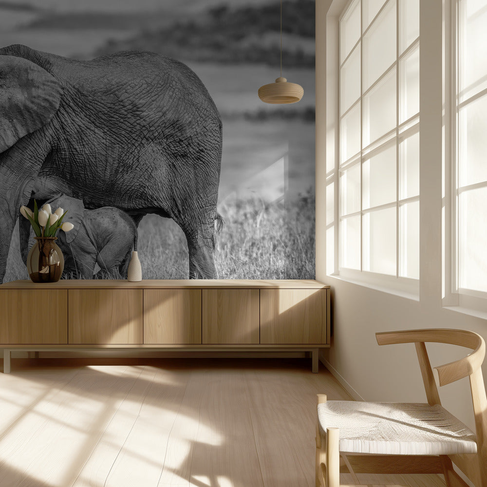 Lähellä ja suojassa pysyminen | Valokuvatapetit