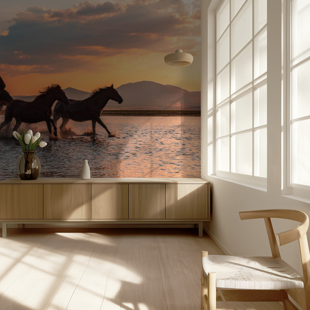 VESIHEVOSET | Valokuvatapetit
