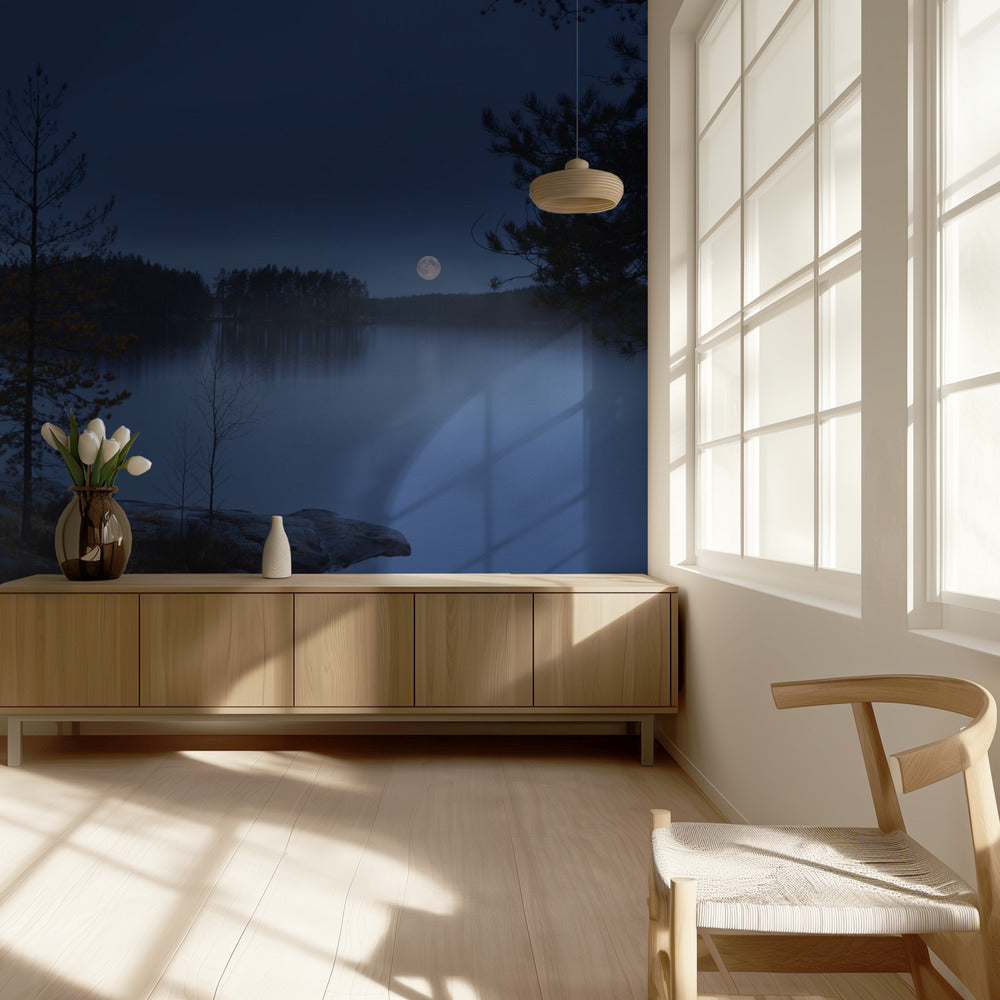 Yön usva | Valokuvatapetit