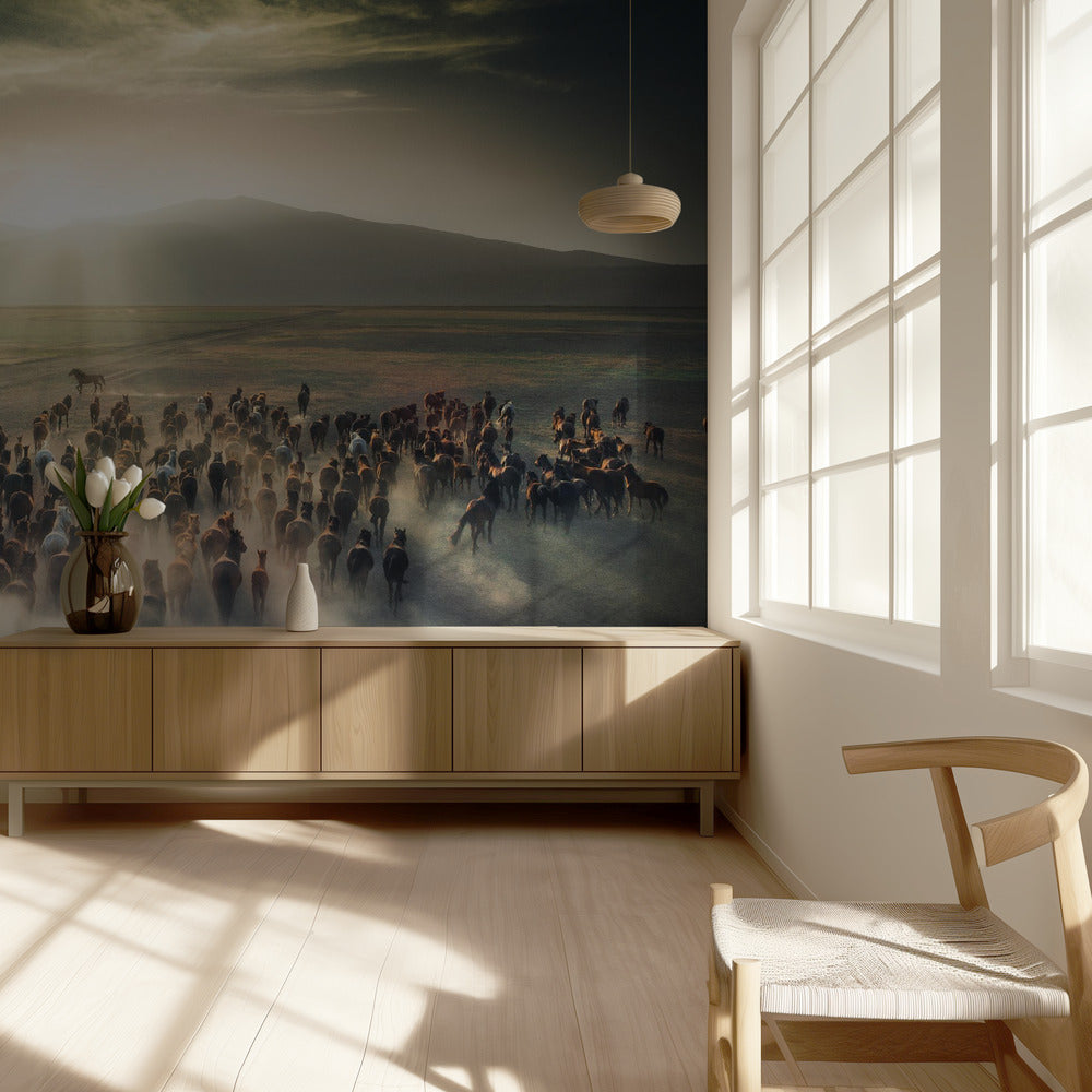 Villihevoset | Valokuvatapetit