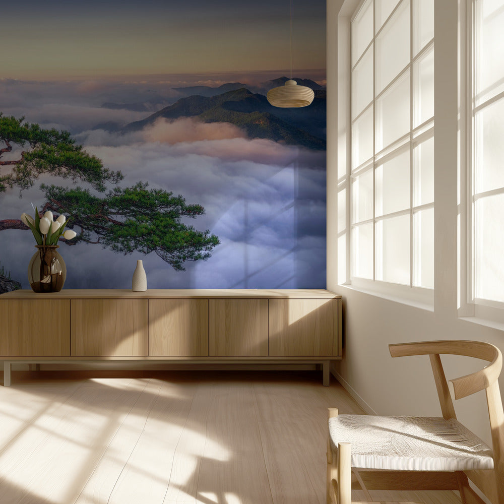 Kalliolla | Valokuvatapetit