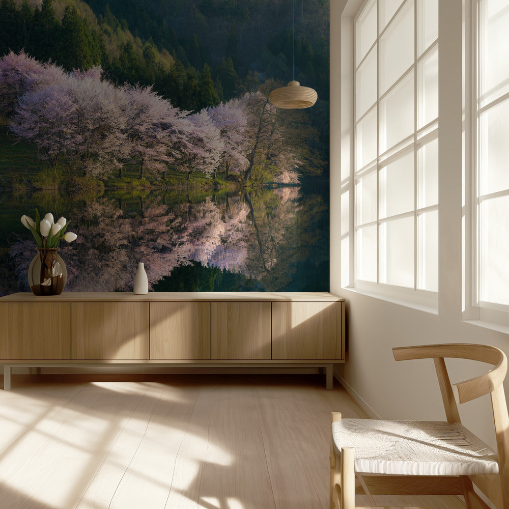 Sakura | Valokuvatapetit