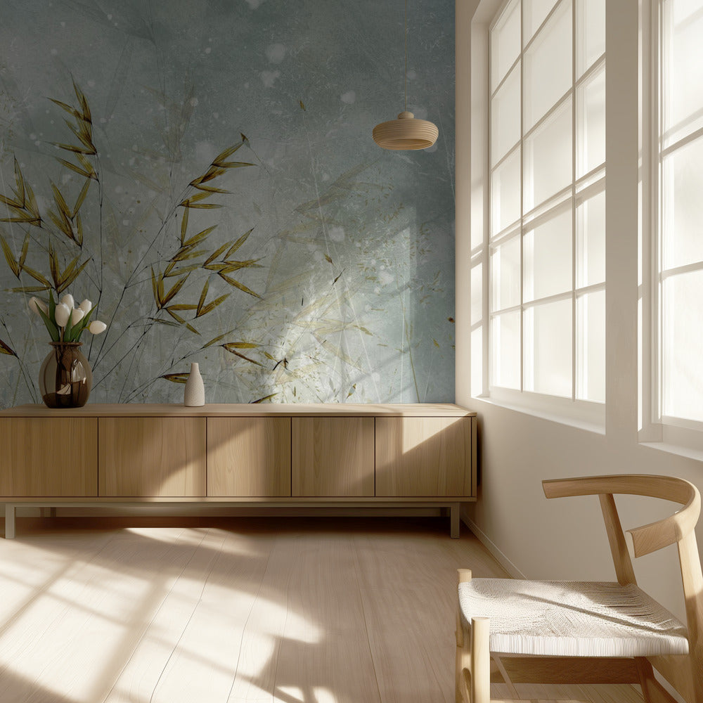 Talviaika | Valokuvatapetit