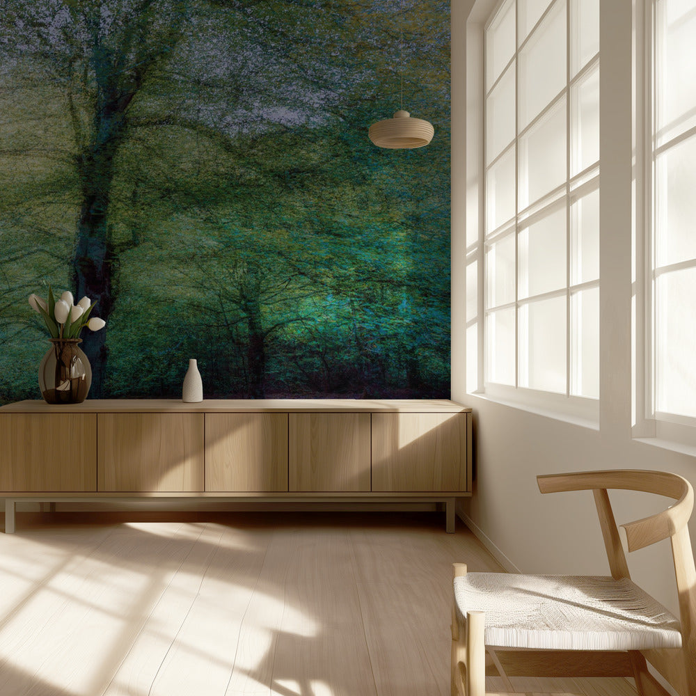 metsä | Valokuvatapetit