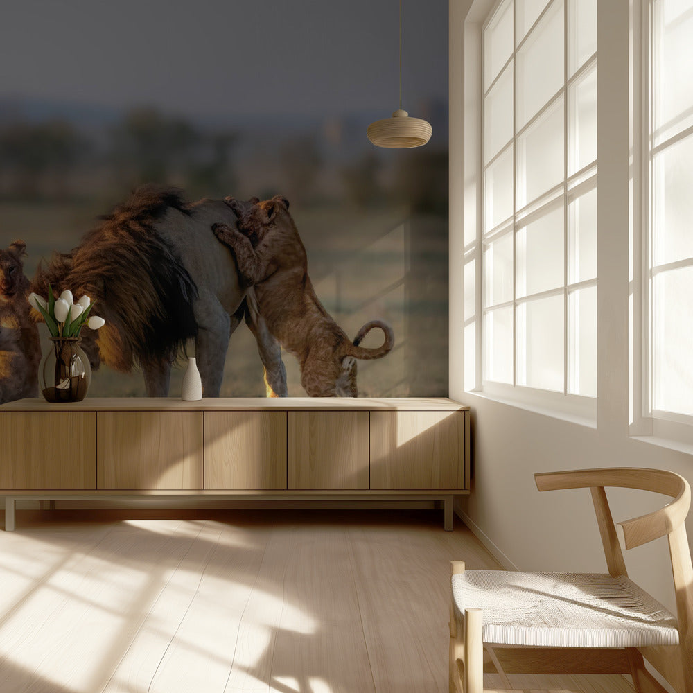 Isä ja lapset | Valokuvatapetit