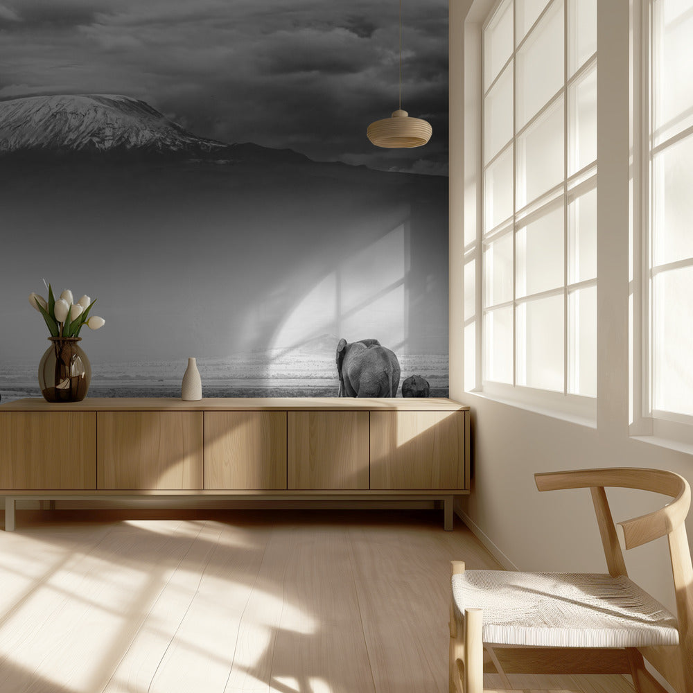 Jättiläisten maa | Valokuvatapetit