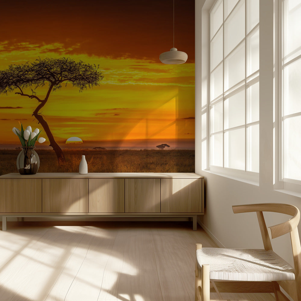 Alkukantainen Afrikka | Valokuvatapetit
