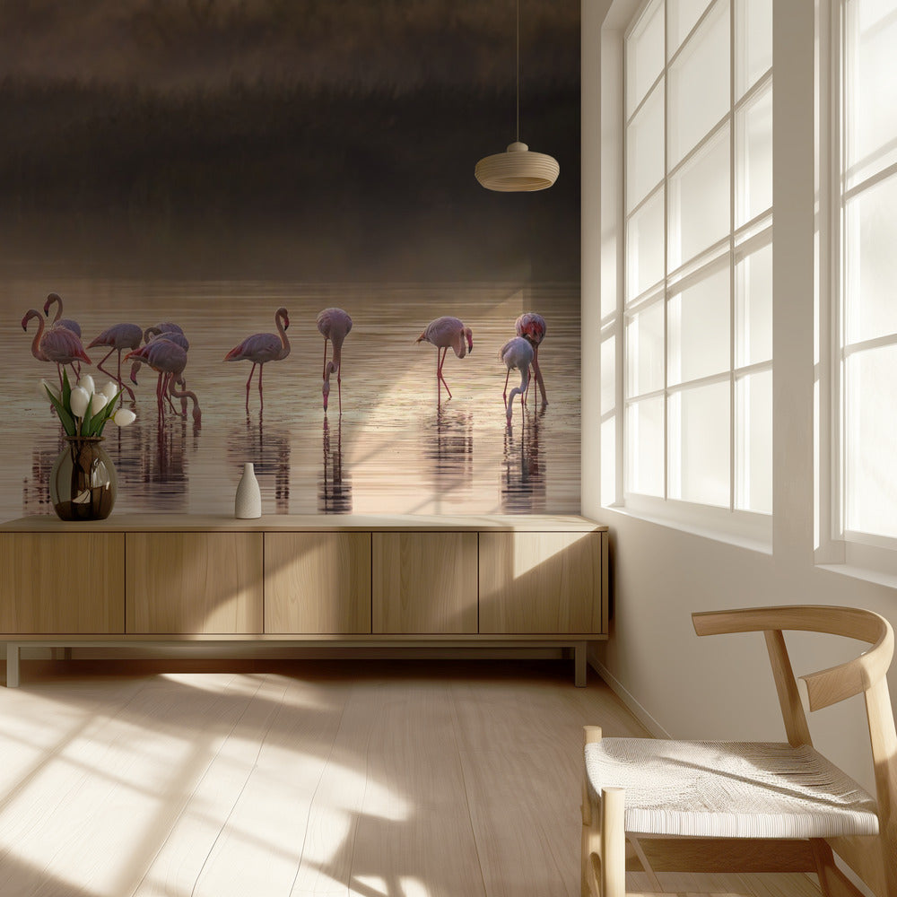 Valokuvallinen oodi Monet'lle | Valokuvatapetit