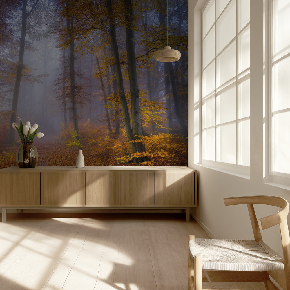 Lokakuun polku | Valokuvatapetit