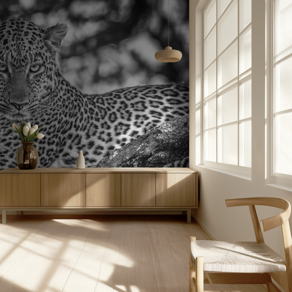 Yksivärinen kauneus | Valokuvatapetit