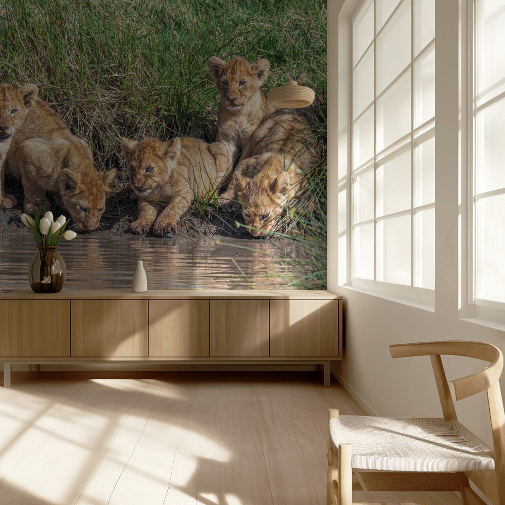 Bändin kokoaminen uudelleen... | Valokuvatapetit