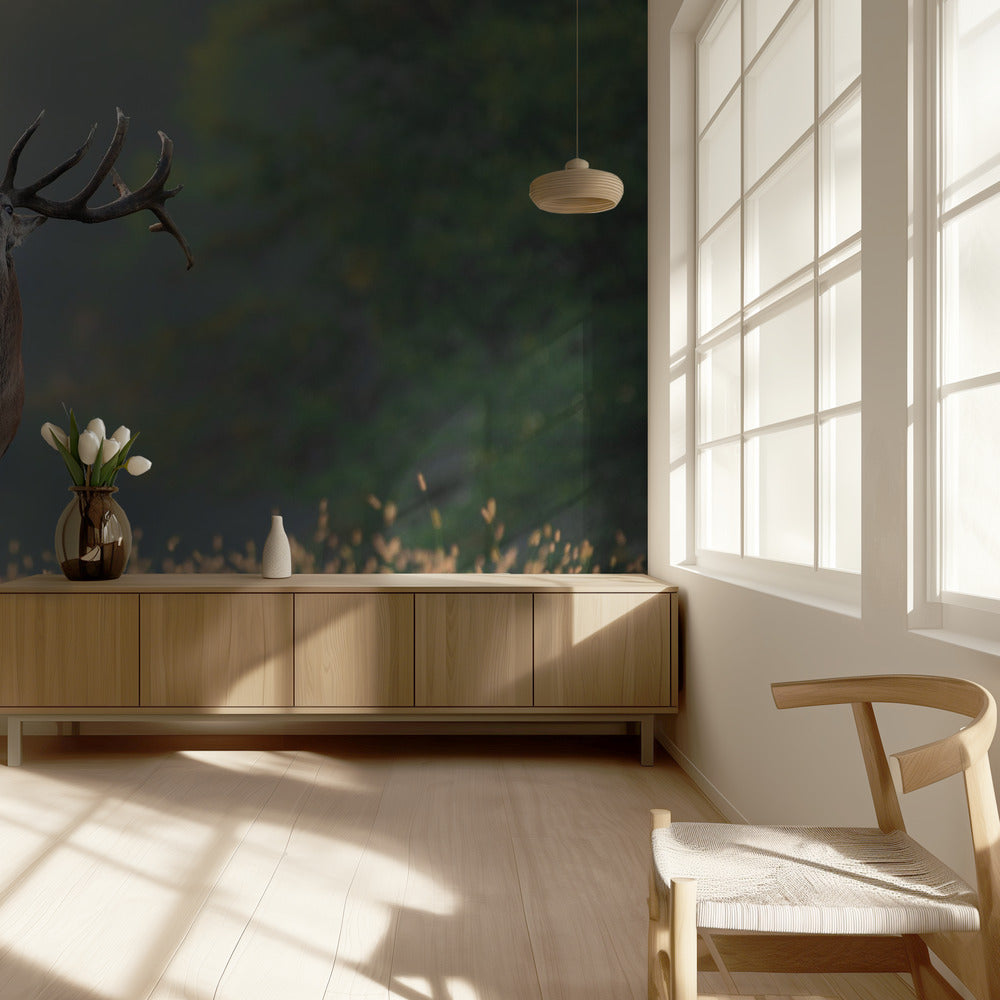 Hirvien häälaulu | Valokuvatapetit