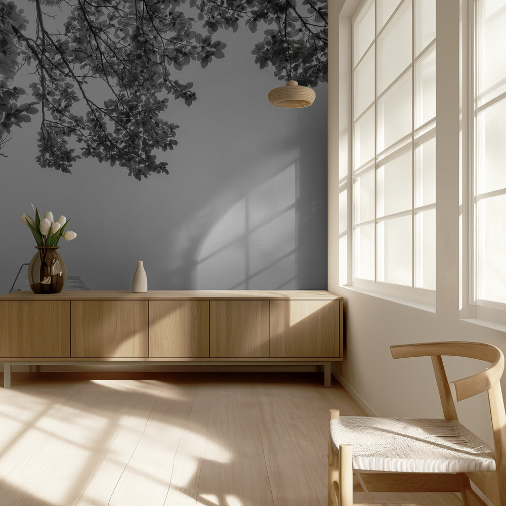 hiljaisuuden ääni | Valokuvatapetit