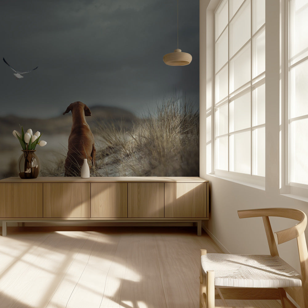 VAPAUDEN (II) | Valokuvatapetit