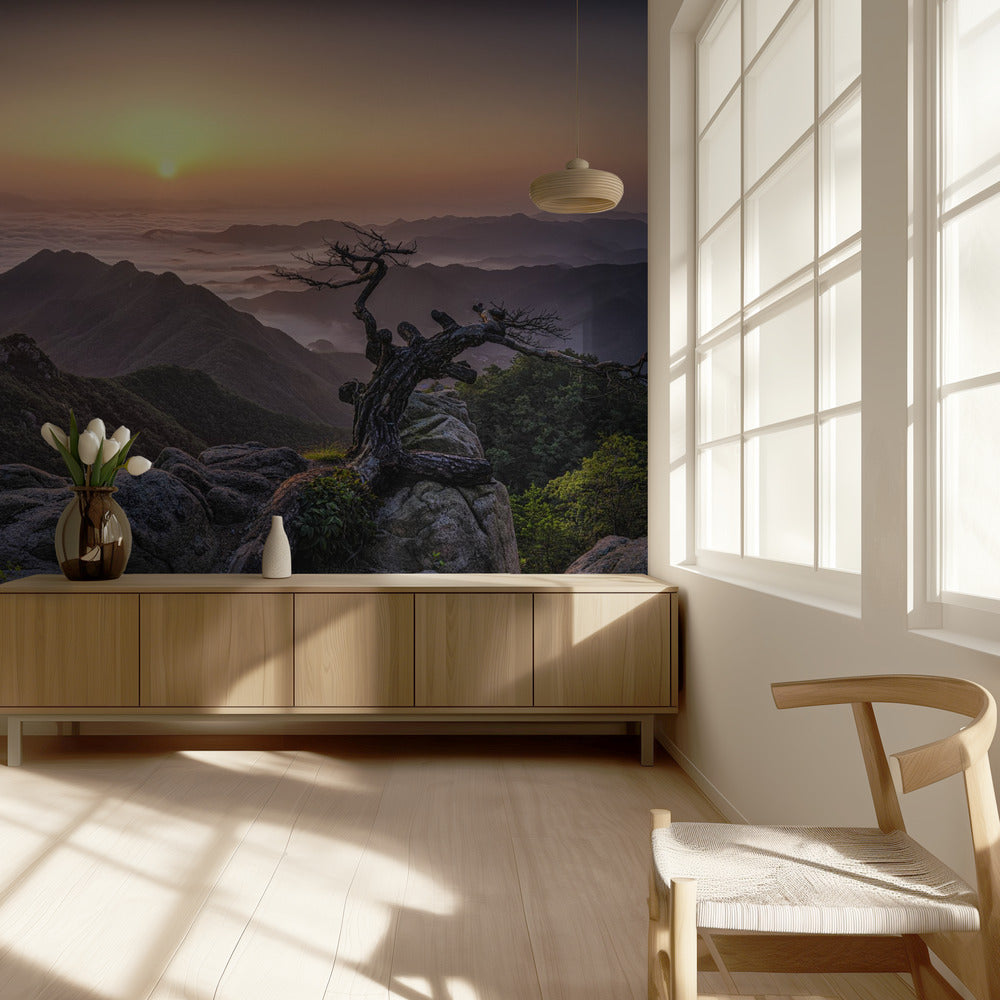 Auringonnousu huipulla | Valokuvatapetit