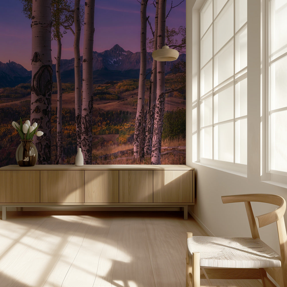 Haapakehykset | Valokuvatapetit