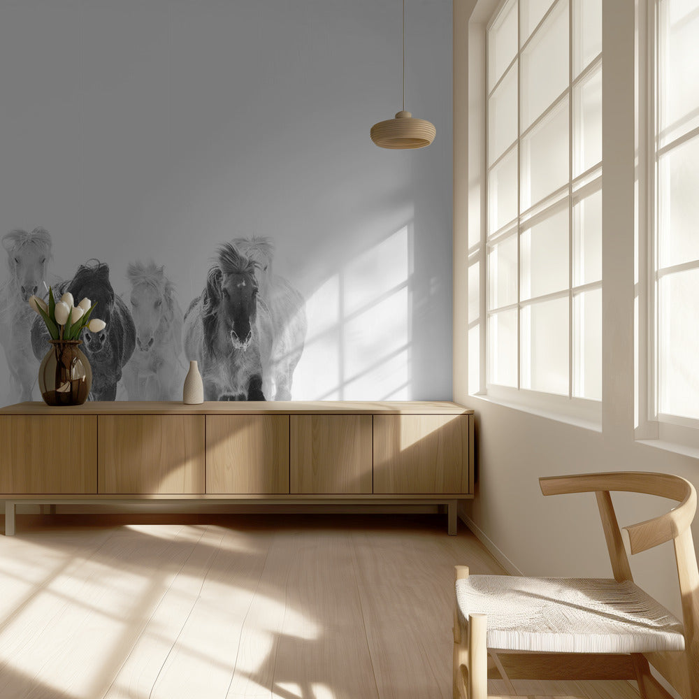 Bieganie po śniegu | Fototapeta