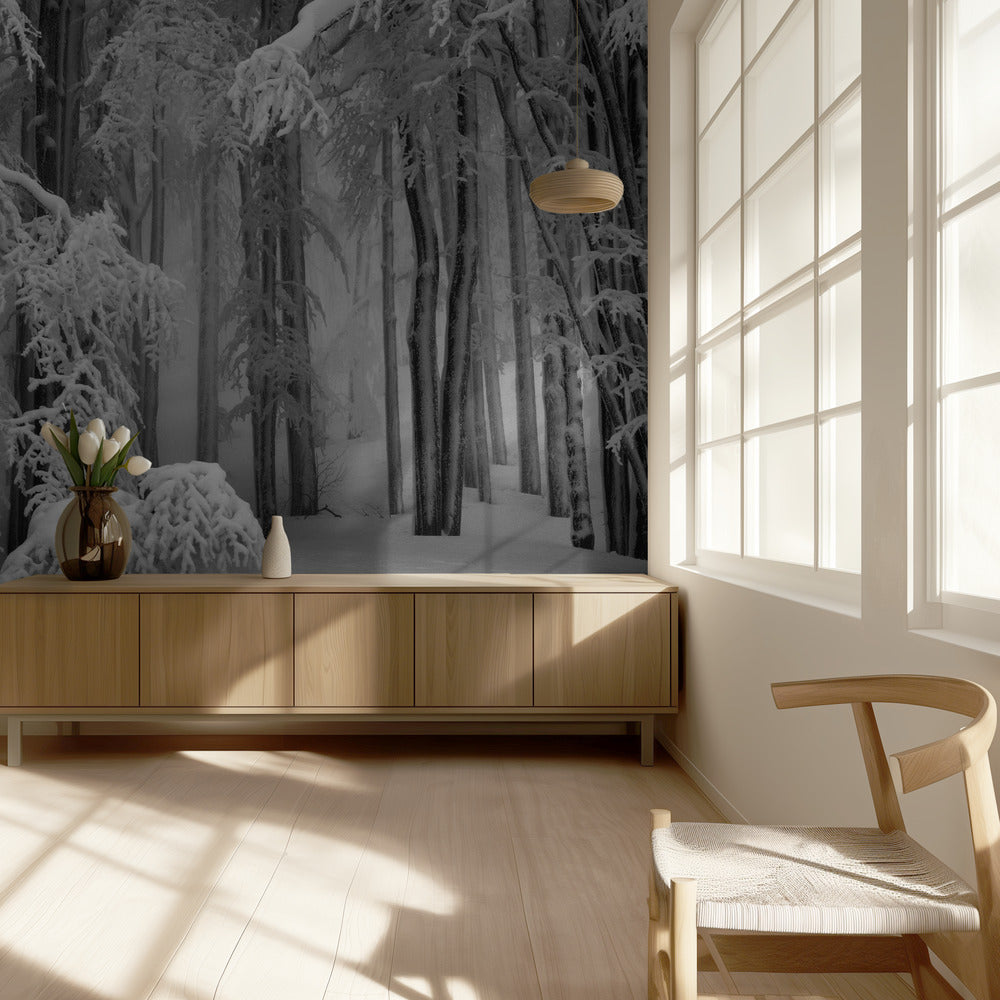 Täydellinen talvi | Valokuvatapetit