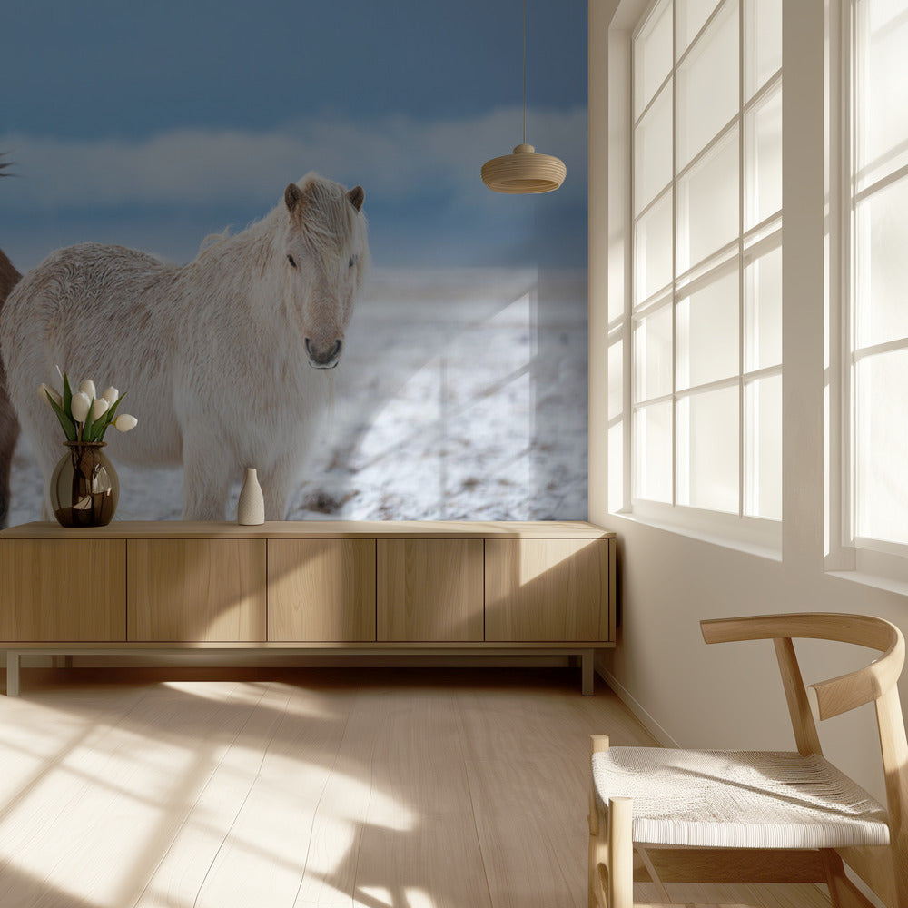 VELI S | Valokuvatapetit