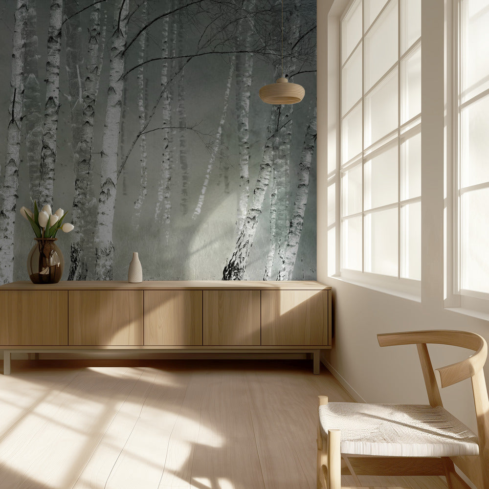 Aamun hiljaisuus | Valokuvatapetit