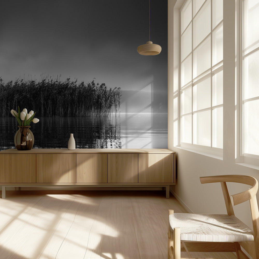 Volvi-järvi VII | Valokuvatapetit