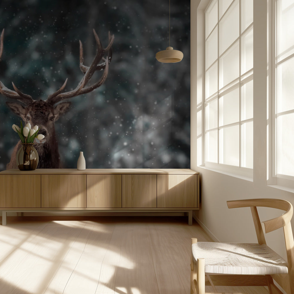 Peurakuningas | Valokuvatapetit