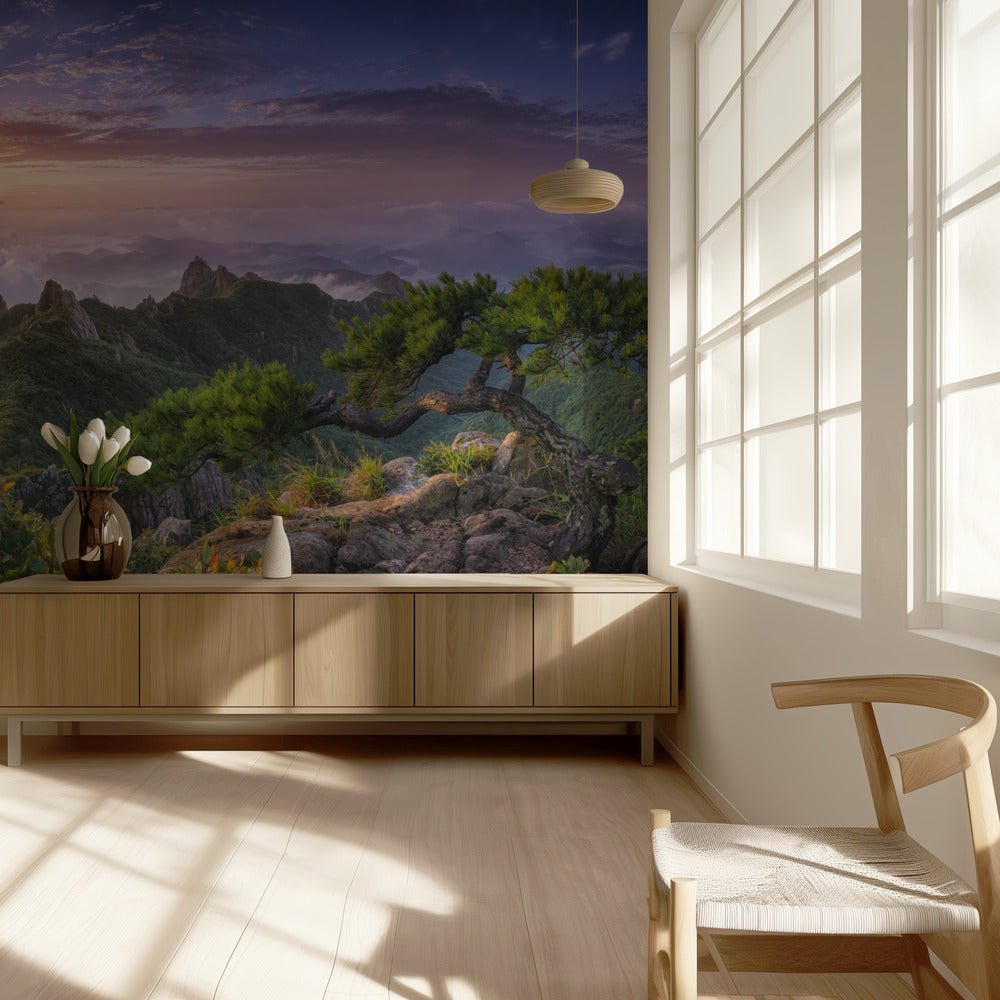 Mänty kalliolla | Valokuvatapetit