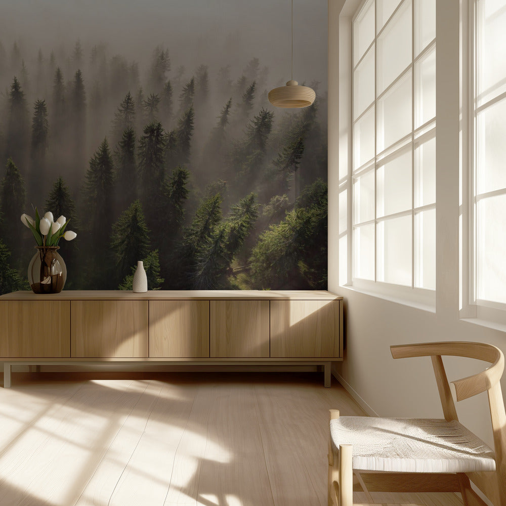 Kuusien armeija | Valokuvatapetit