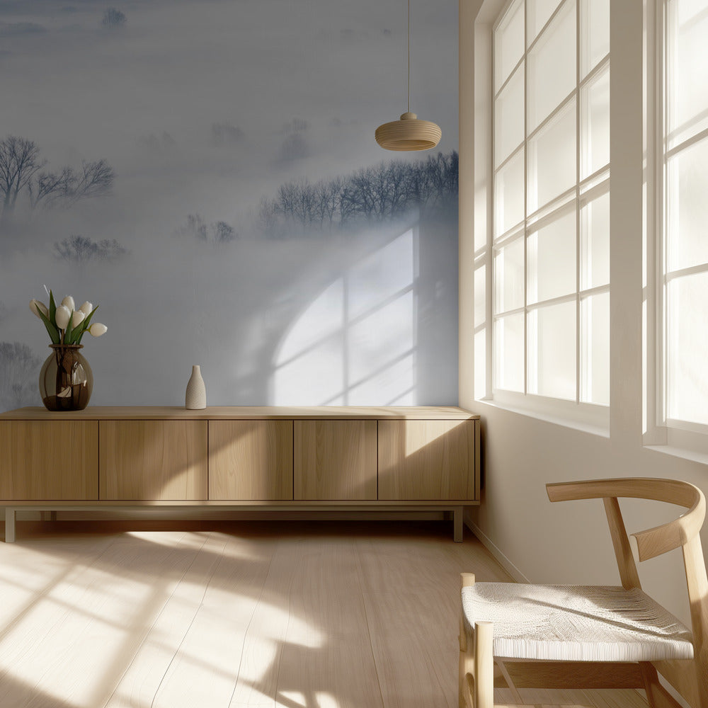 Talvi | Valokuvatapetit