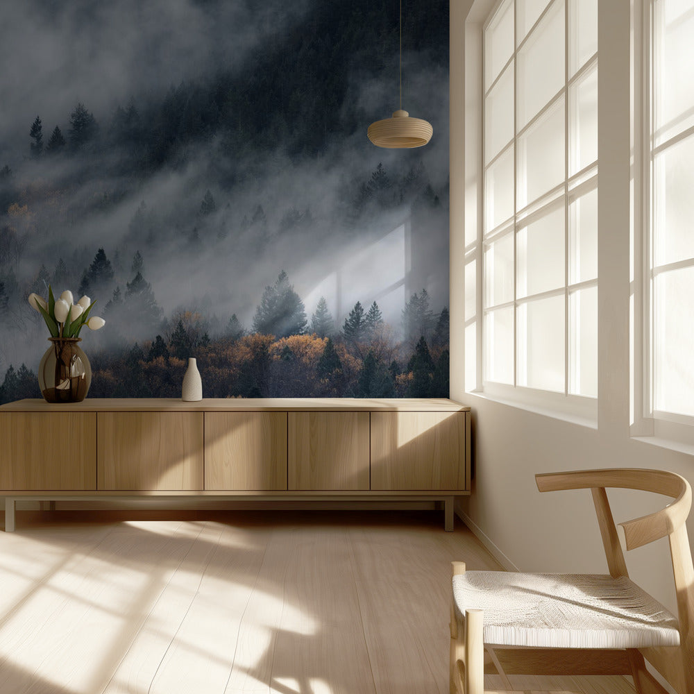 Sumun polku | Valokuvatapetit