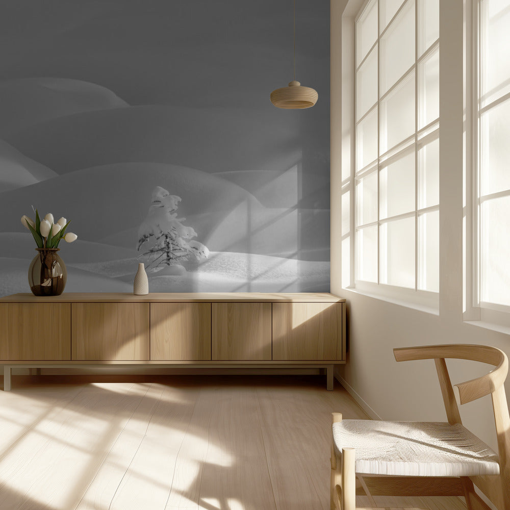 Yksin | Valokuvatapetit