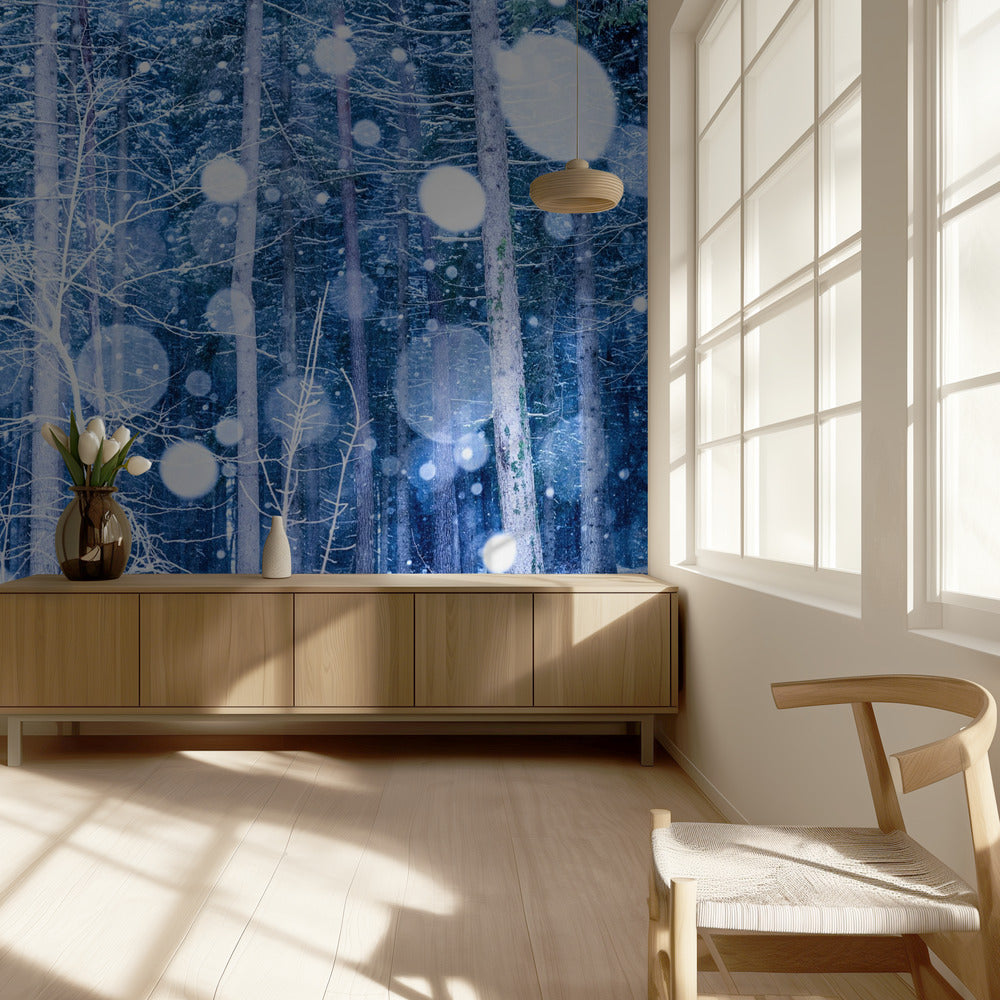 Schneelandschaft | Fototapeten