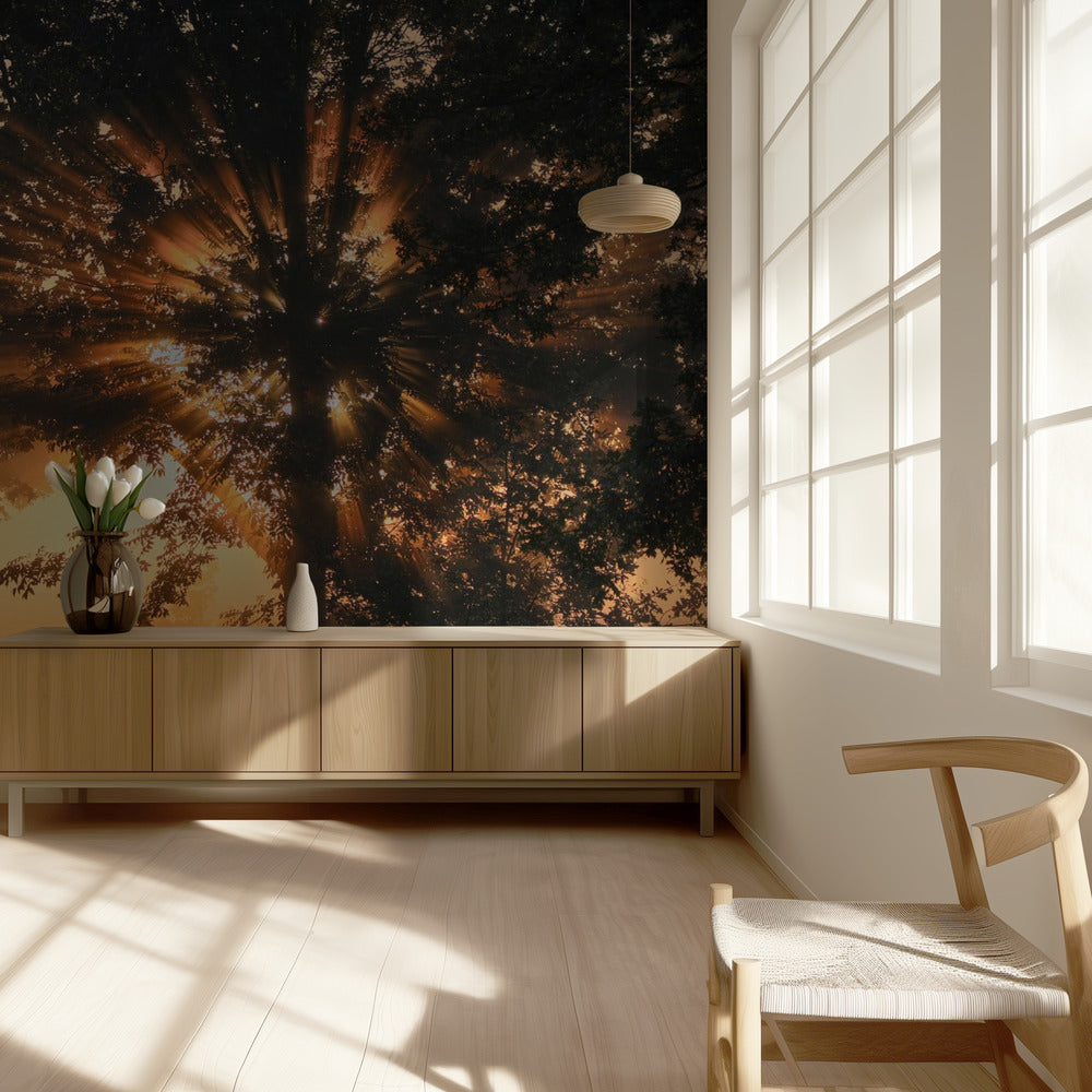 Brennender Baum | Fototapeten