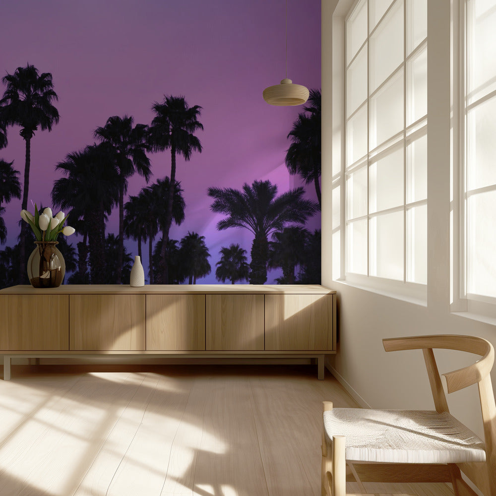 Palms with Pink Sky | Wallpaper