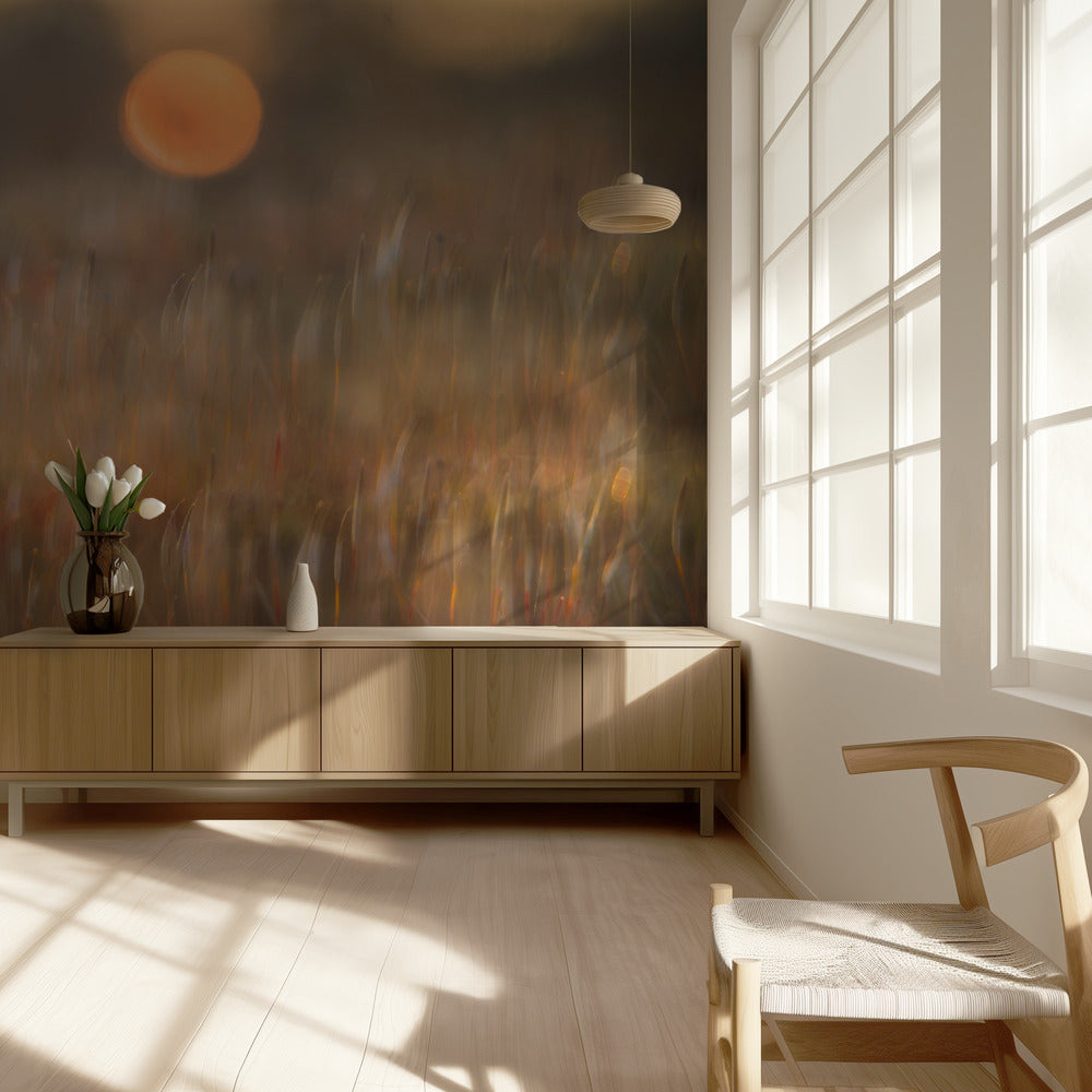 solopgang blandt det ruhårede mos | Fototapeter