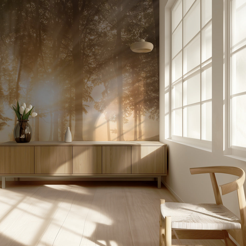 Valon sokaisema | Valokuvatapetit