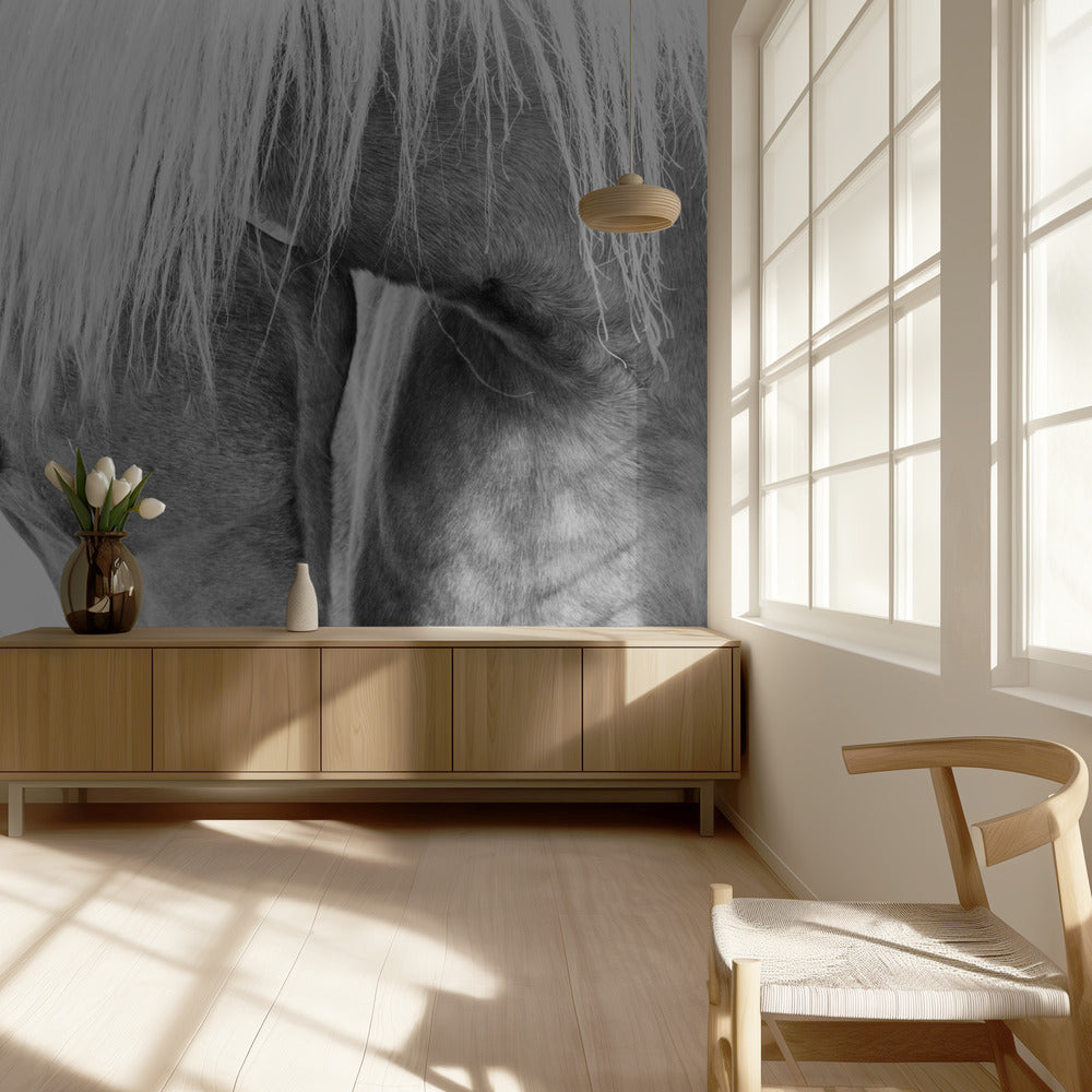 Puolivuoti-muotokuva | Valokuvatapetit