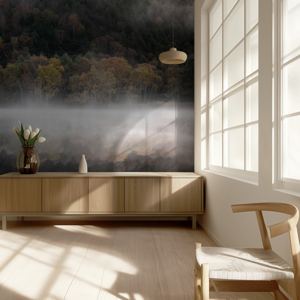 The mystical pond in the autumn | Wallpaper