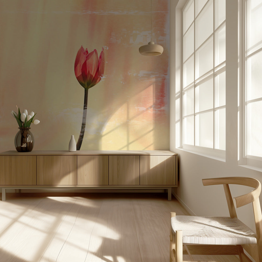 bailarina Papel Pintado Fotográfico